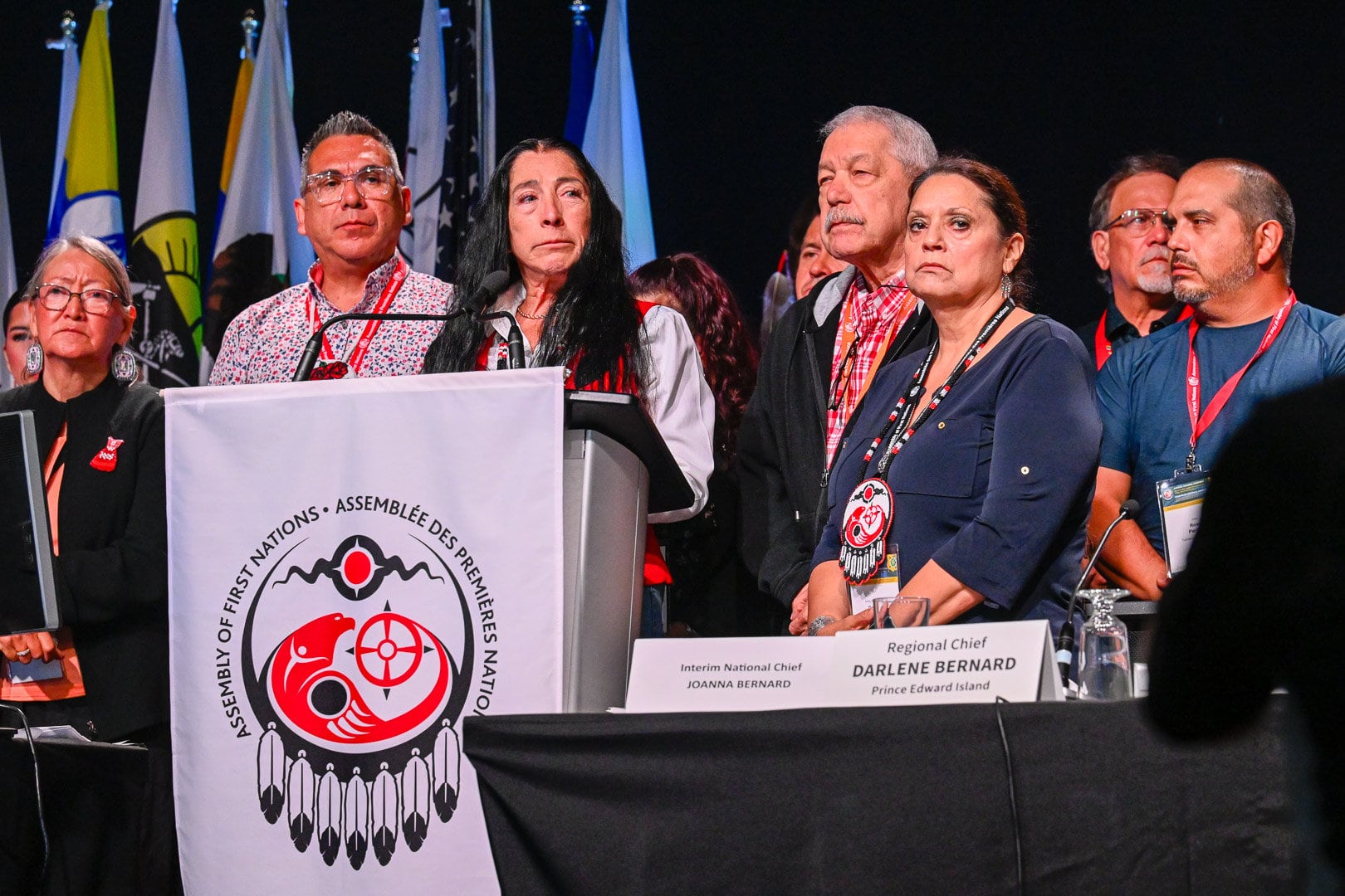 Assembly Of First Nations Afn Interim National Chief Joanna Bernard