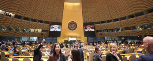 United Nations Assembly