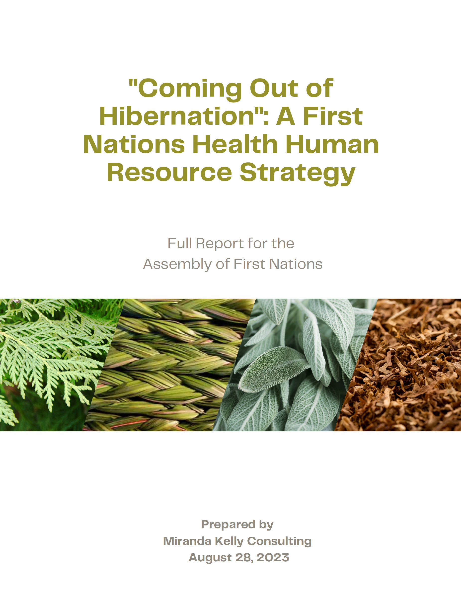 Coming Out of Hibernation: A First Nations Health Human Resource Strategy
