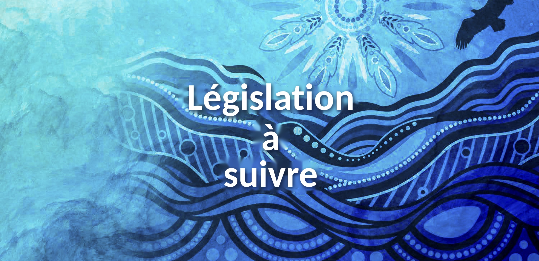 Legislation to Watch