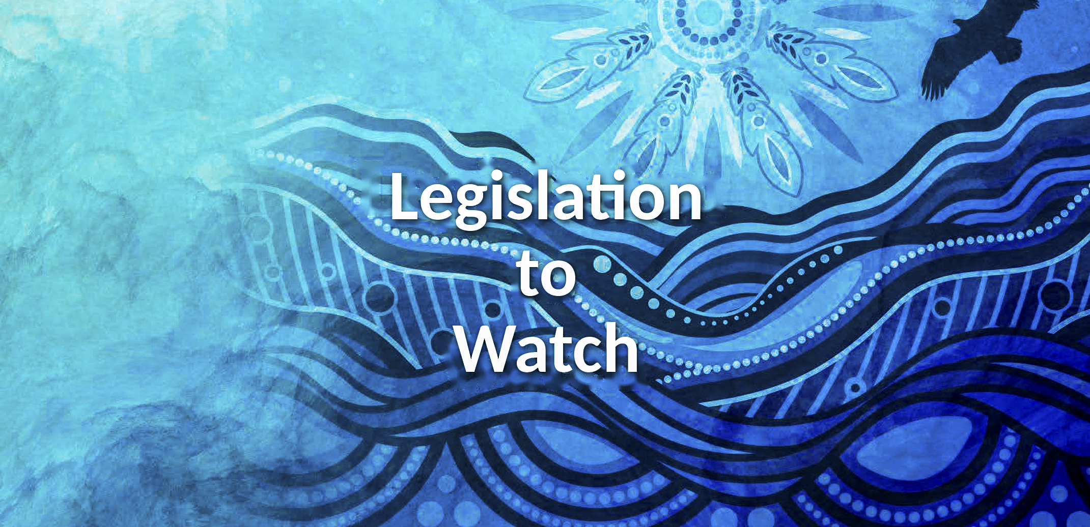Legislation to Watch